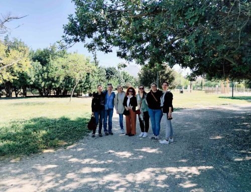 Pulire la nostra città: Attività di pulizia nel parco del quartiere